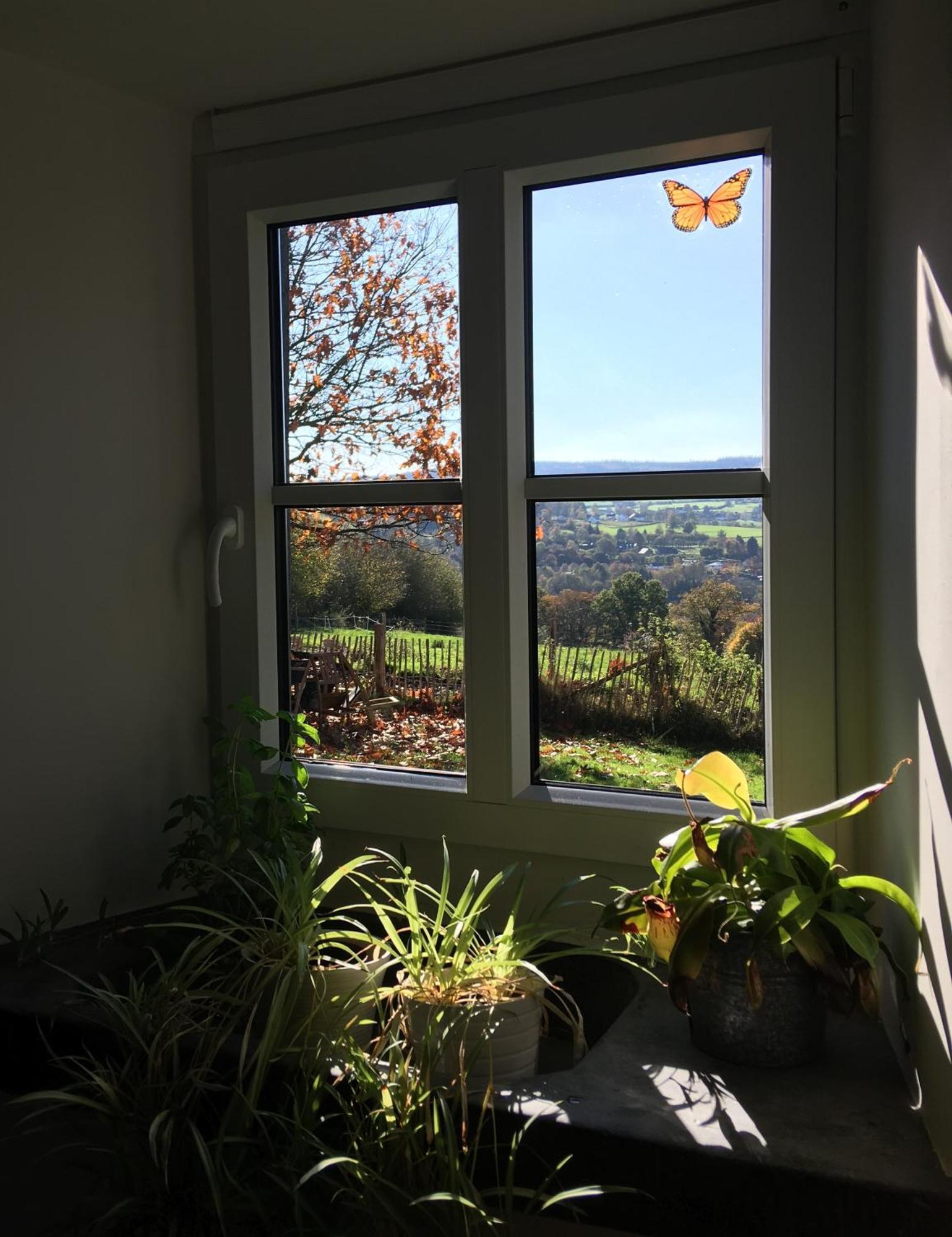 La Maison De Julienne - Ligneuville Malmedy Kültér fotó